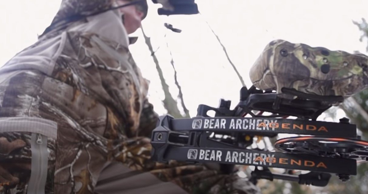 bear archery bear archery