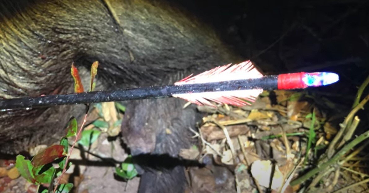 how to choose the right lighted nock
